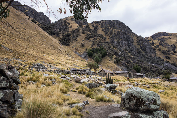 Bosque-de-Kewiñas-Inka-Chaca3