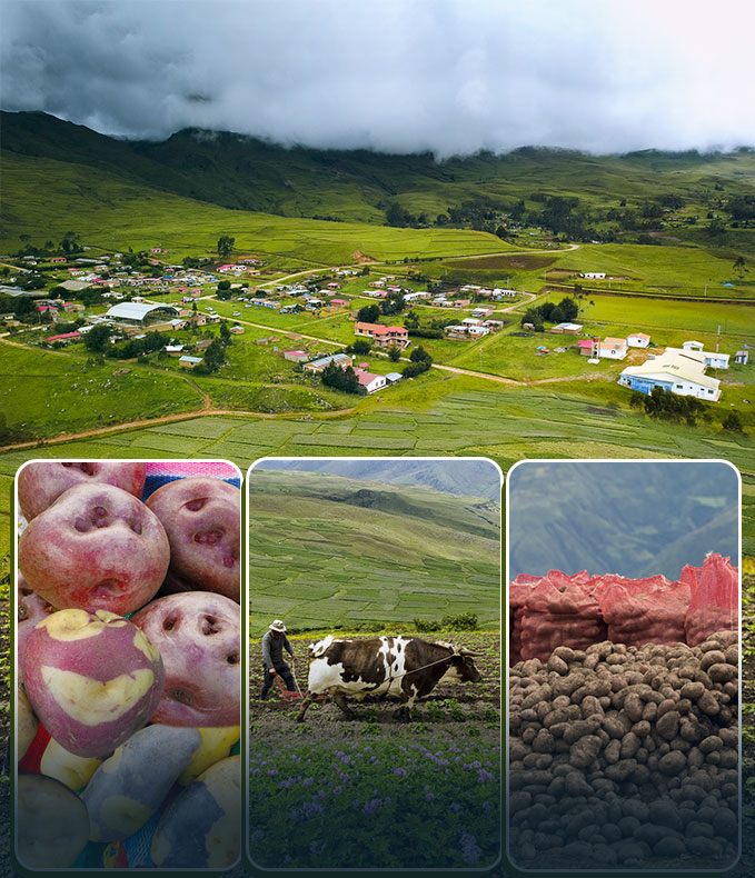 Región Choquecamata - El Choro