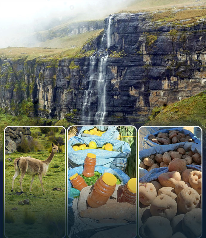 regióm Altamachi, Cocapata