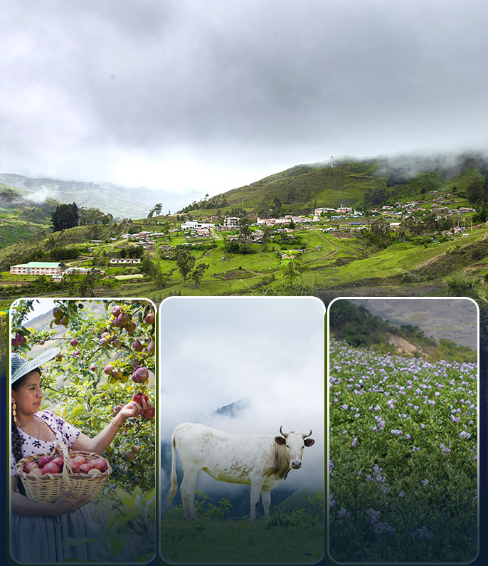 Región Cocapata - Cocapata